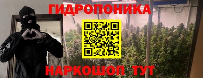 соль ск Будённовск